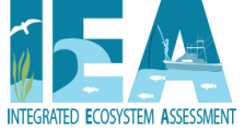 IEA Logo