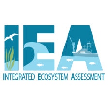 IEA